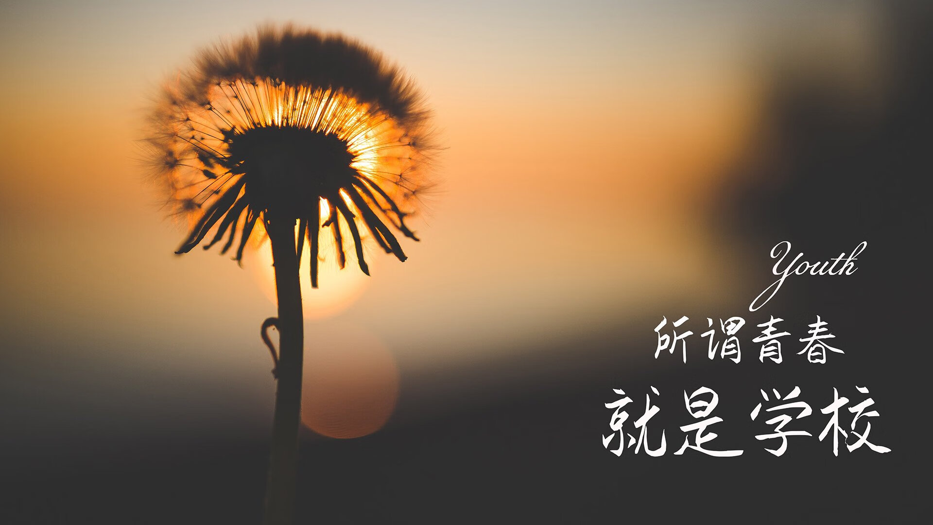 _火箭逐步复苏，追赶前列队伍_，火箭返回速度