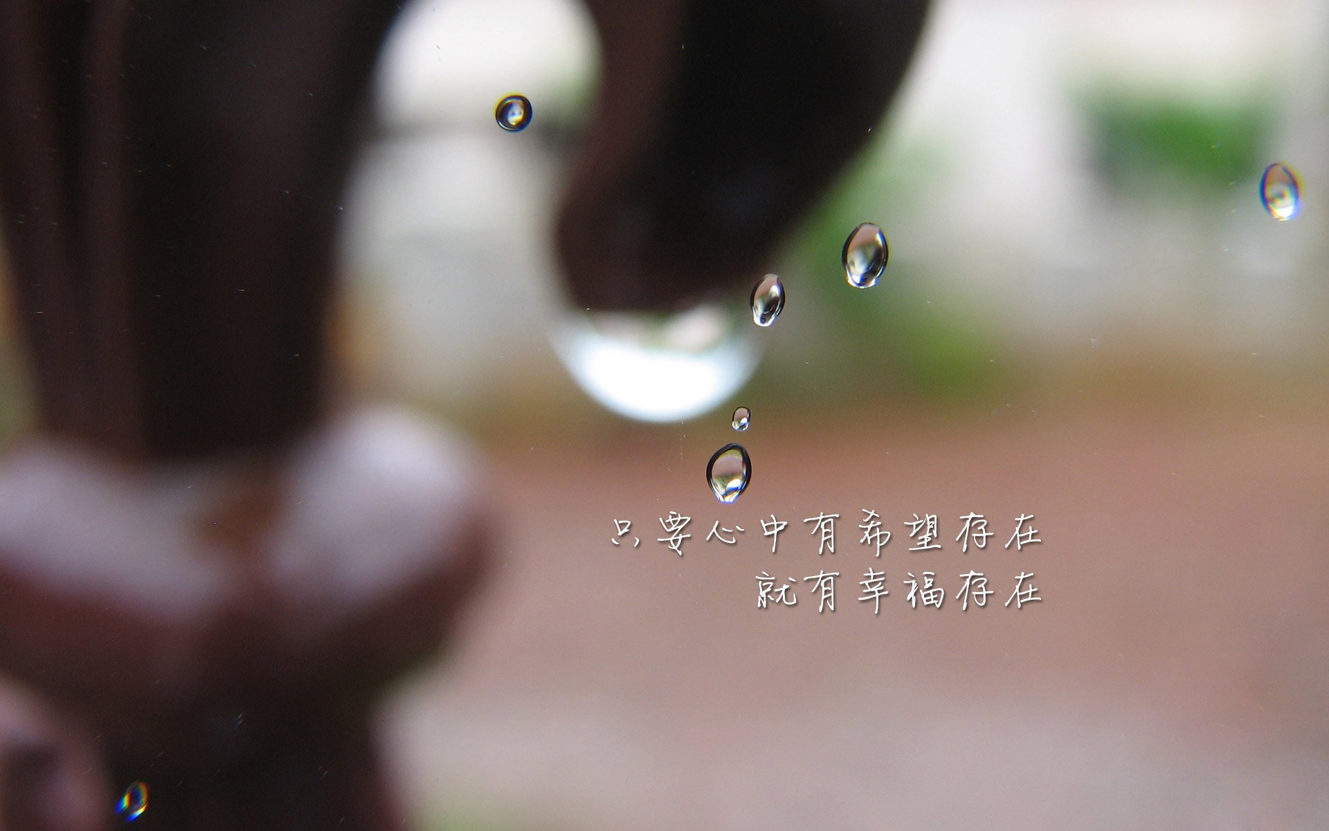 KAIYUNAPP-广州龙狮球队主场战绩显著增强，广州龙狮队队员