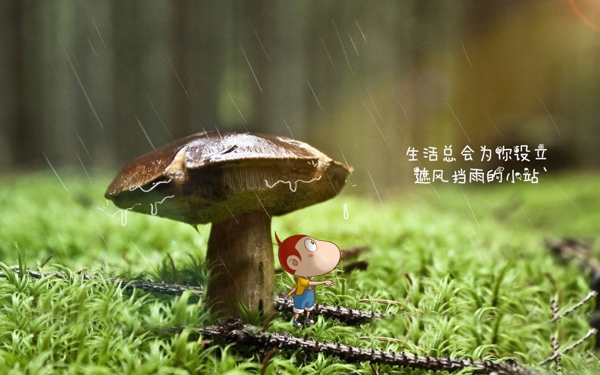 开云网页版-欧洲预选赛中的佳绩：一支弱队突然崛起！，欧洲预选赛踢完了吗_