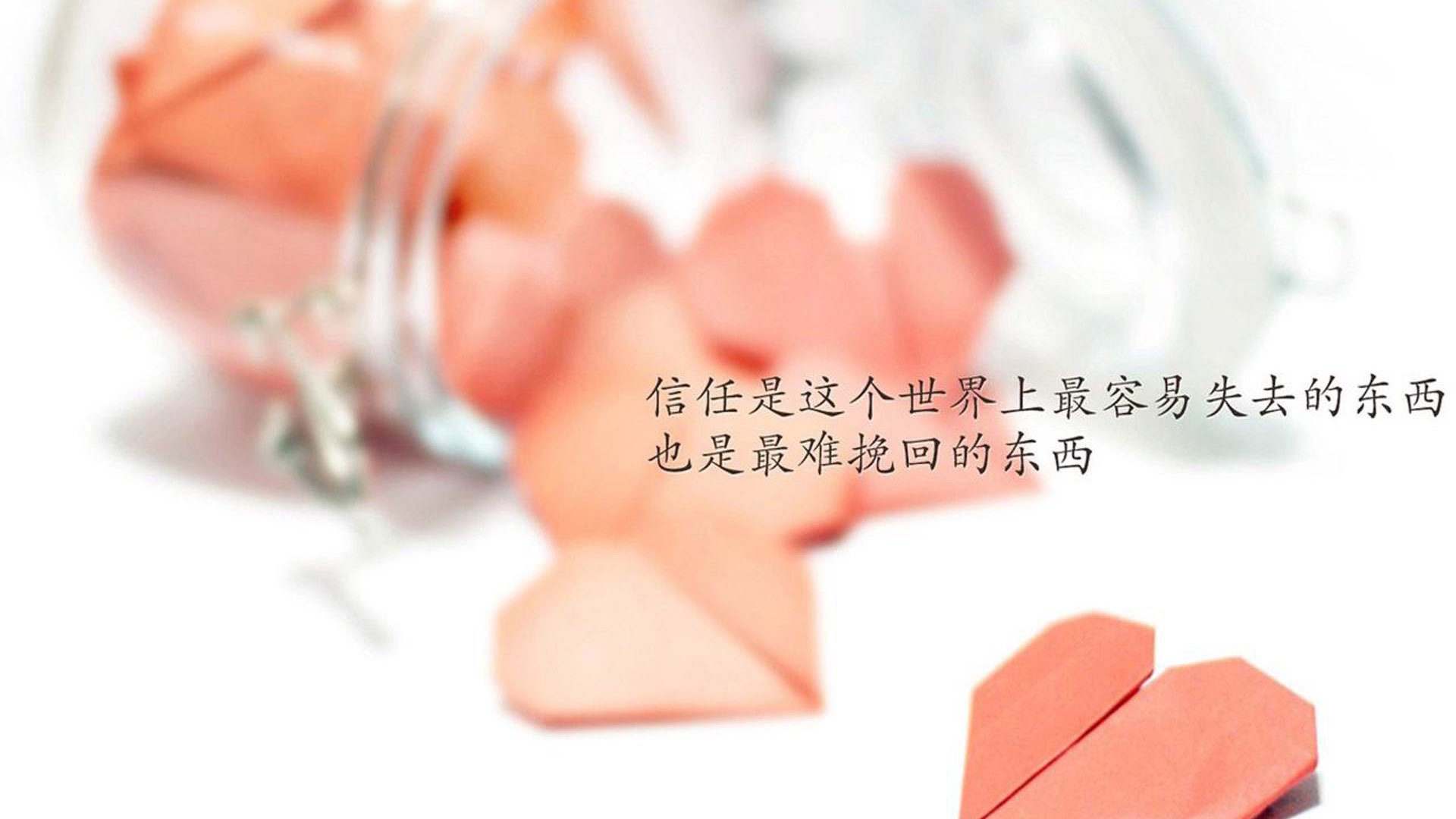 混合泳赛事比利时全面应战，混合泳预赛