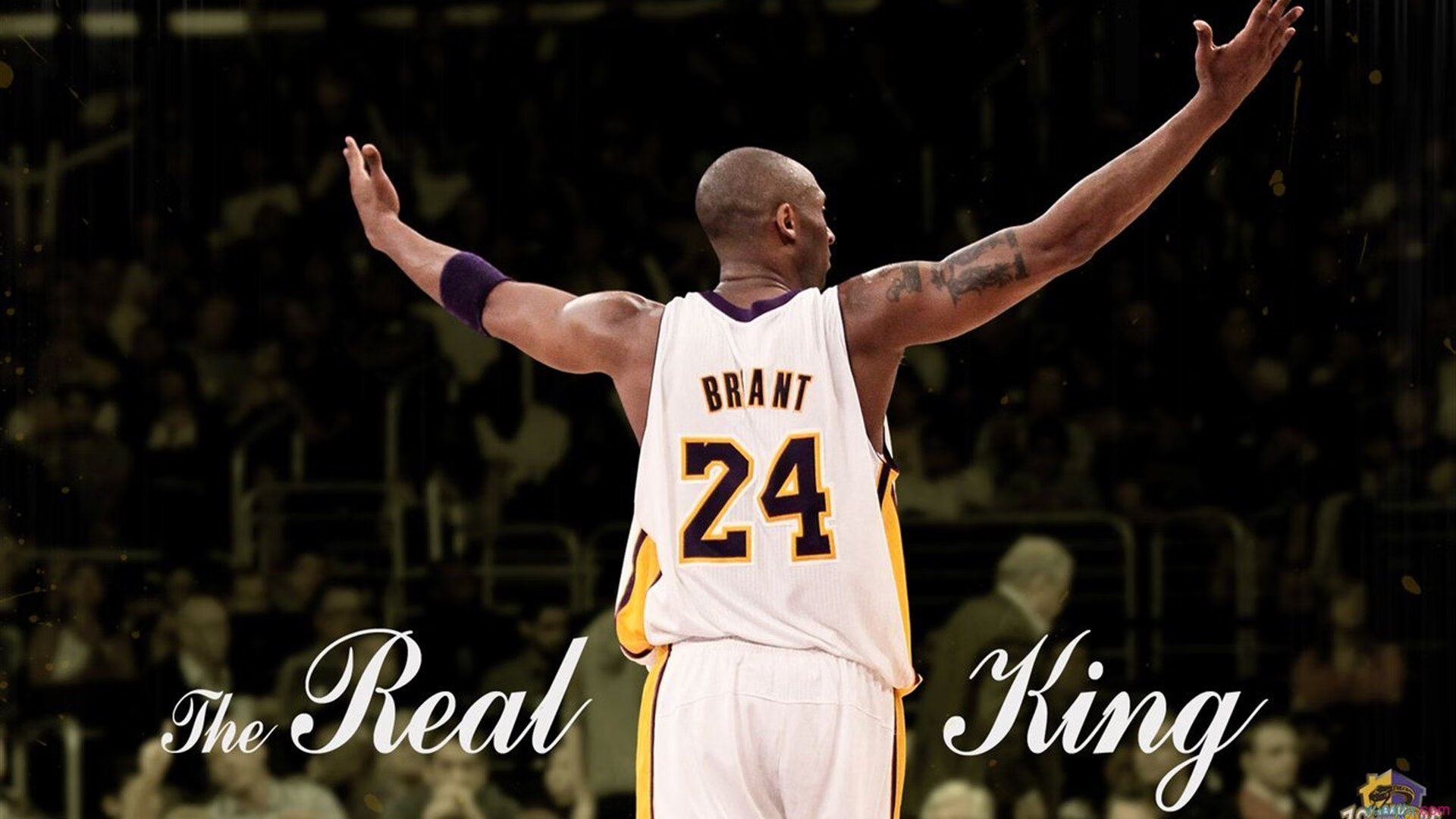 广州德比再次上演申花胜出，广州德比集锦